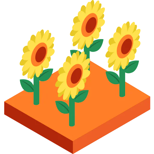 Sunflower icon