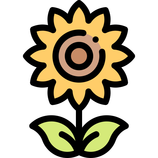 Sunflower icon