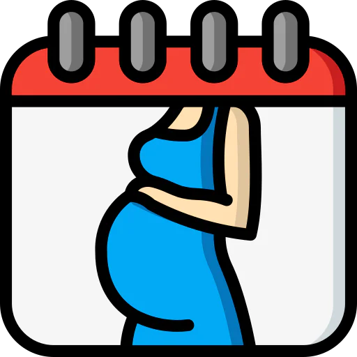 Date icon