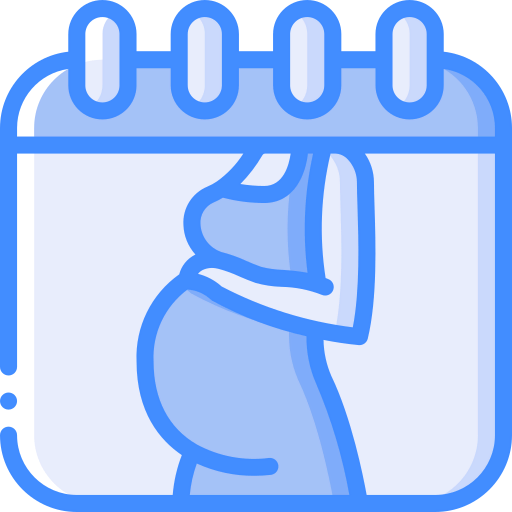 Date icon