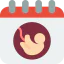 Birth icon 64x64