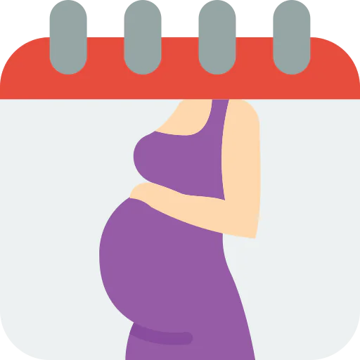 Date icon