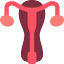 Fertility icon 64x64