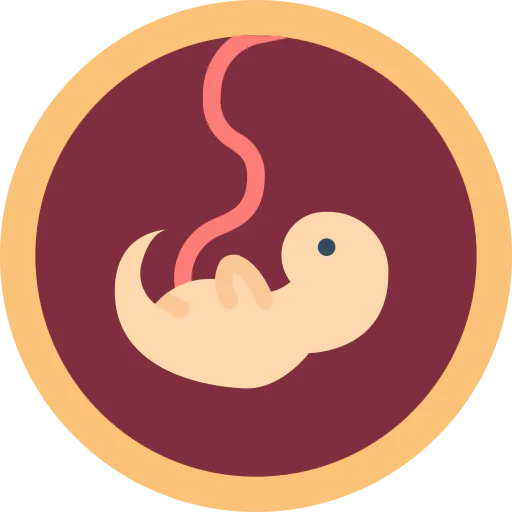 Fetus icon