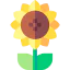 Sunflower icon 64x64