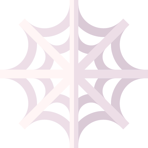 Spider web icon