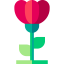 Flower icon 64x64