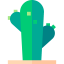 Cactus icon 64x64