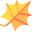 Leaf icon 64x64