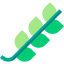 Branch icon 64x64
