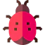 Ladybug icon 64x64