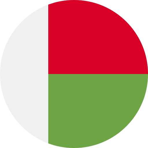 Madagascar icon