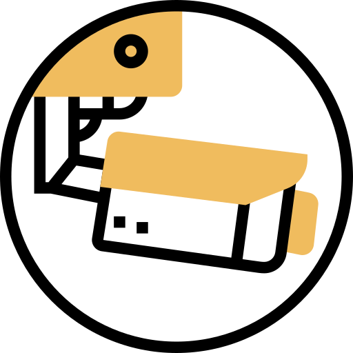 Cctv icon