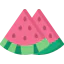 Watermelon icon 64x64