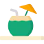 Coconut drink icon 64x64