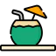 Coconut drink icon 64x64