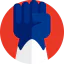 Punch icon 64x64