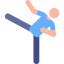 Martial arts icon 64x64