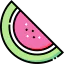 Watermelon icon 64x64