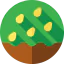 Seeds icon 64x64