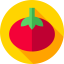 Tomato icon 64x64