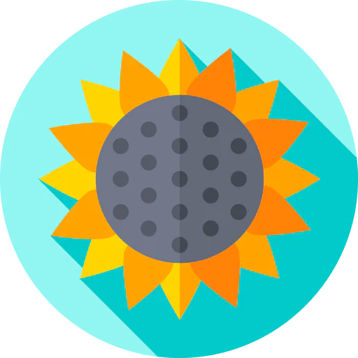 Sunflower icon
