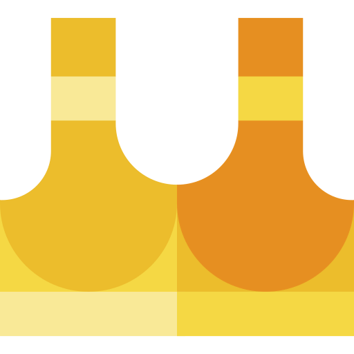 Bra icon