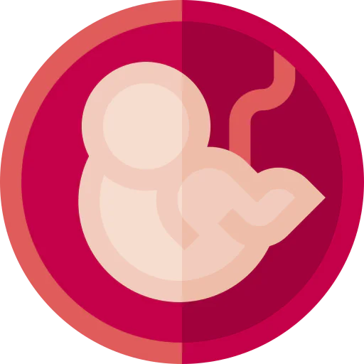 Fetus icon