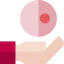 Egg donation icon 64x64