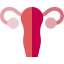Uterus icon 64x64