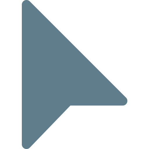 Selection icon