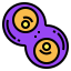 Cell division biểu tượng 64x64