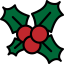 Mistletoe icon 64x64