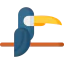 Toucan icon 64x64