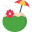 Coconut icon 64x64