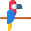 Macaw icon 64x64