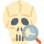 Skull icon 64x64