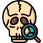 Skull icon 64x64