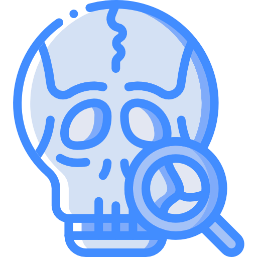 Skull icon