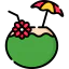 Coconut icon 64x64