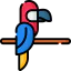 Macaw icon 64x64