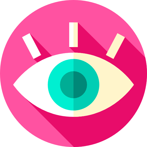 Vision icon