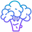 Cauliflower アイコン 64x64