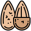 Almond icon 64x64