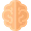 Intellect ícono 64x64