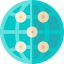Globe ícono 64x64