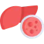 Liver cancer Symbol 64x64