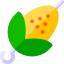 Corn icon 64x64