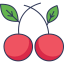 Cherry icon 64x64