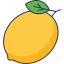 Lemon icon 64x64